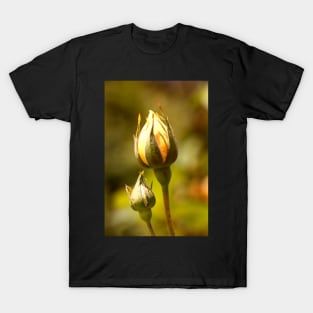 Yellow Rose Bud T-Shirt